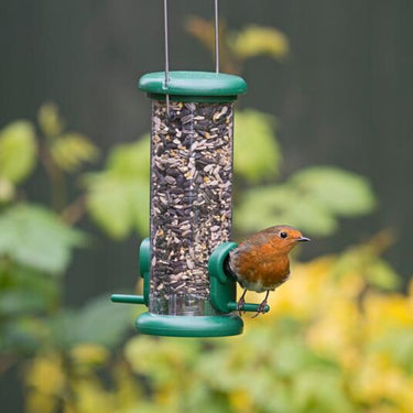 Bird Seed Feeders